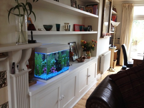 home office cabinets and 

shelving installations